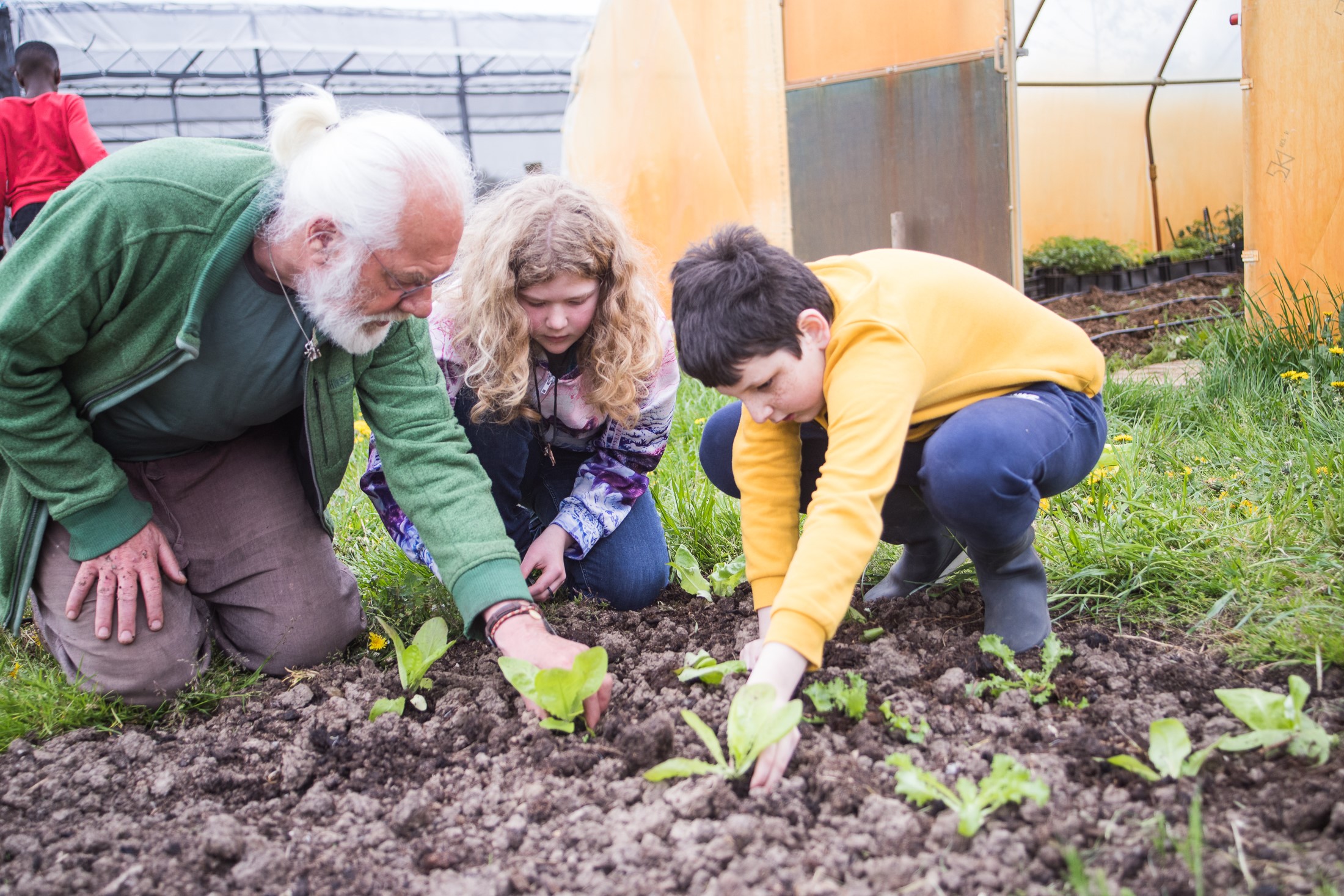 Lesproject bij Stadslandbouw Mooieweg